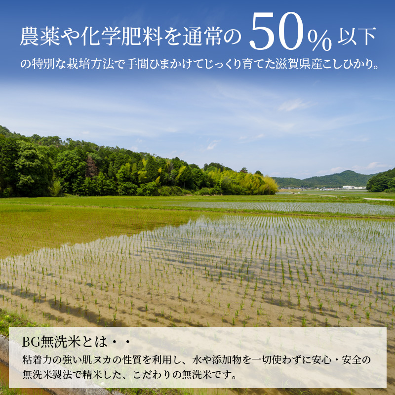 米 みずかがみ BG無洗米 10kg 令和6年産新米 ふるさと応援特別米  無洗米 お米 こめ コメ おこめ 白米