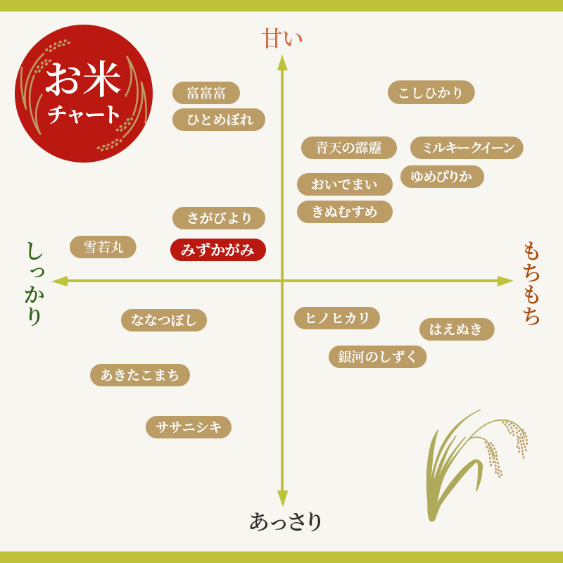 米 みずかがみ BG無洗米 10kg 令和6年産新米 ふるさと応援特別米  無洗米 お米 こめ コメ おこめ 白米