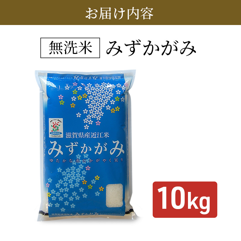 【令和7年産新米】滋賀県産 みずかがみ BG無洗米 10kg 無洗米