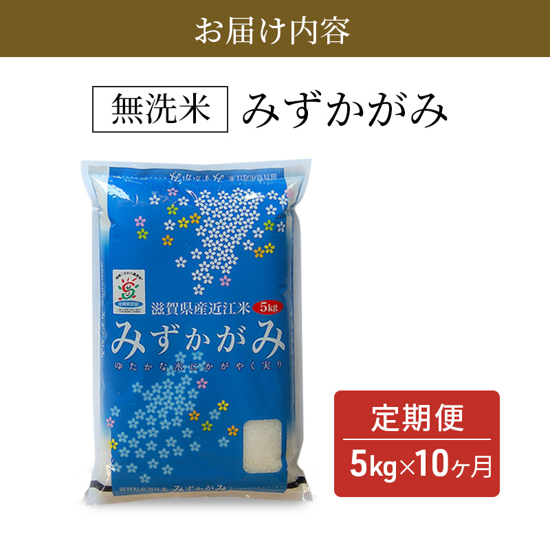 米 定期便 10ヶ月 5kg みずかがみ BG無洗米 令和7年産 滋賀県産