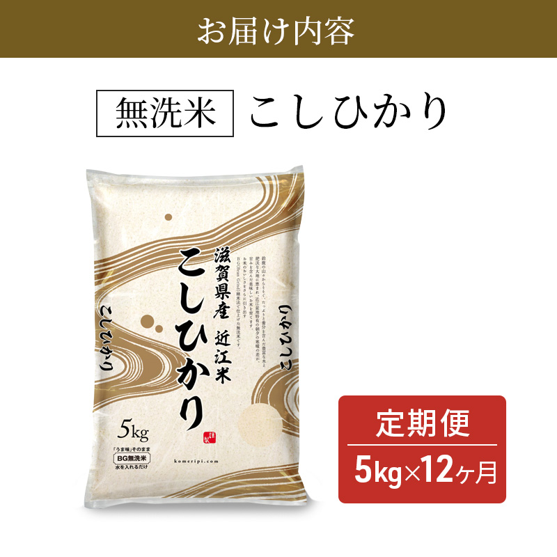 令和7年産 こしひかり BG無洗米 定期便 12ヶ月 5kg 米 滋賀県産 豊郷町 ご飯 国産 お米 時短 節水