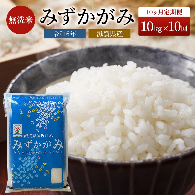 米 定期便 10ヶ月 みずかがみ BG無洗米 10kg  令和6年産新米 ふるさと応援特別米 無洗米 お米 こめ コメ おこめ 白米 10回 お楽しみ