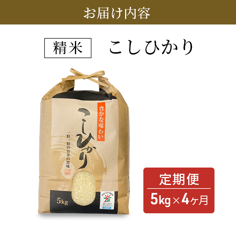 【新米】【定期便】令和6年産　豊かな郷の近江米（コシヒカリ）5kg×4ヶ月連続