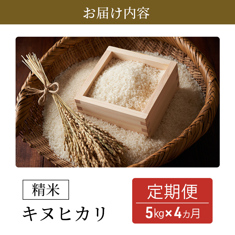 【新米】【定期便】令和6年産　豊かな郷の近江米（キヌヒカリ）5kg×4ヶ月連続