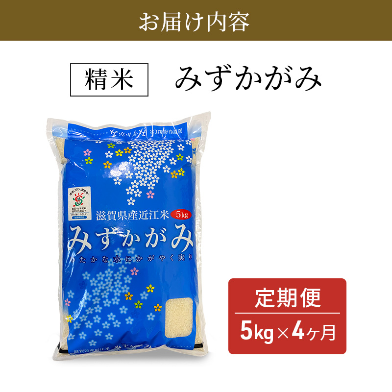 【定期便】令和6年産　豊かな郷の近江米（みずかがみ）5kg×4ヶ月連続