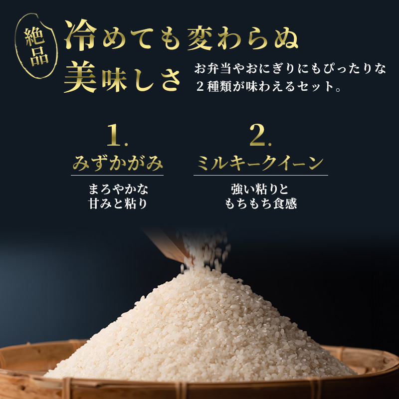 【新米】【定期便】令和6年産　豊かな郷の近江米2種セット×10ヶ月連続