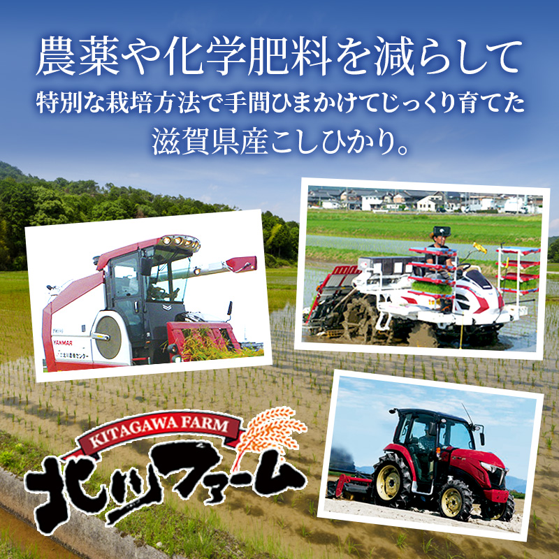 【新米】【定期便】令和6年産　豊かな郷の近江米2種セット×10ヶ月連続