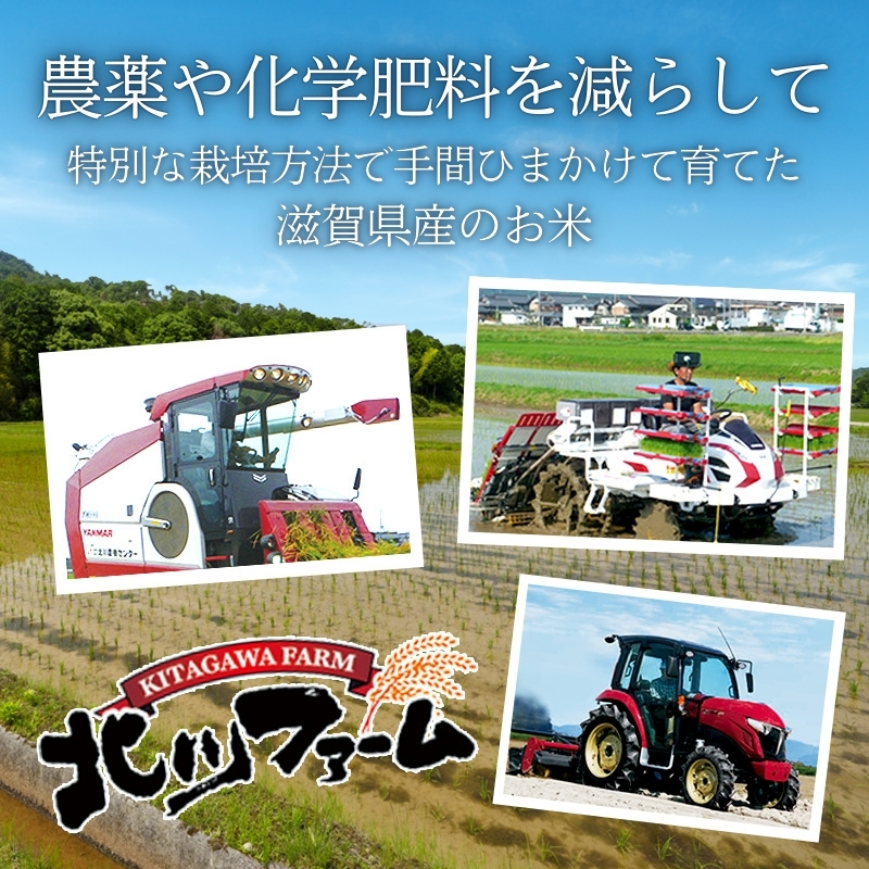 【定期便】令和6年産　豊かな郷の近江米（みずかがみ）5kg×4ヶ月連続