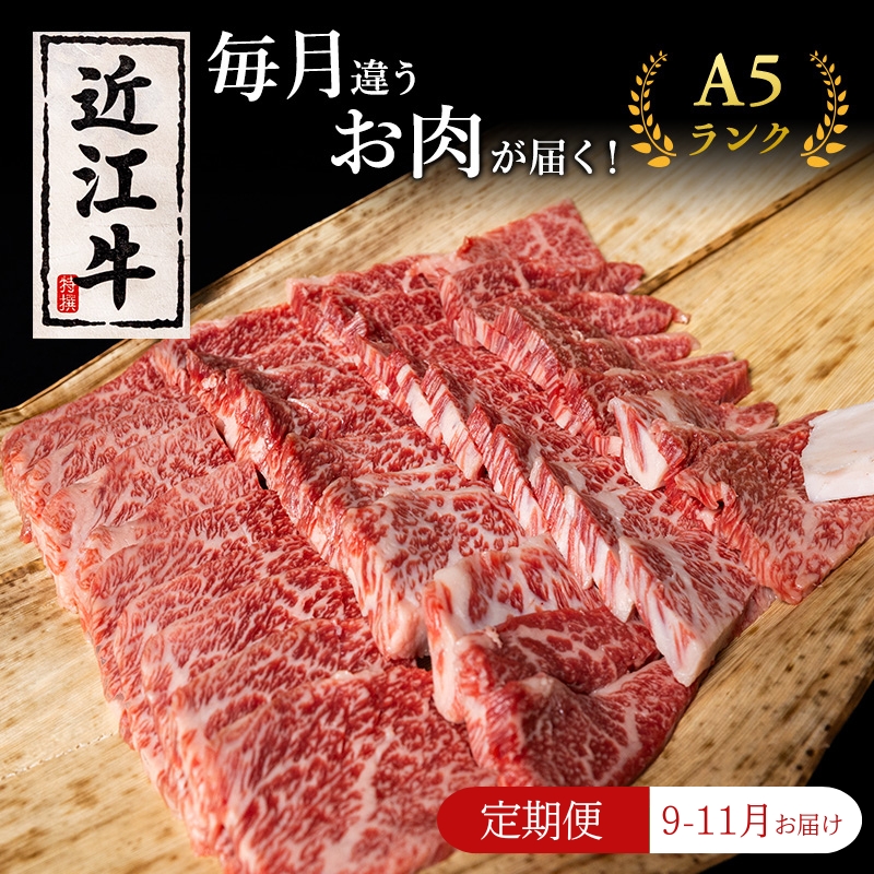 【肉の千石屋】【定期便:9～11月お届け】3ヶ月連続お届け近江牛 A5ランク 毎月違うお肉が届く！お肉の定期便 肉 近江牛 牛肉 カルビ モモ 肩ロース ウデ 焼肉 サーロイン 和牛 国産 滋賀県