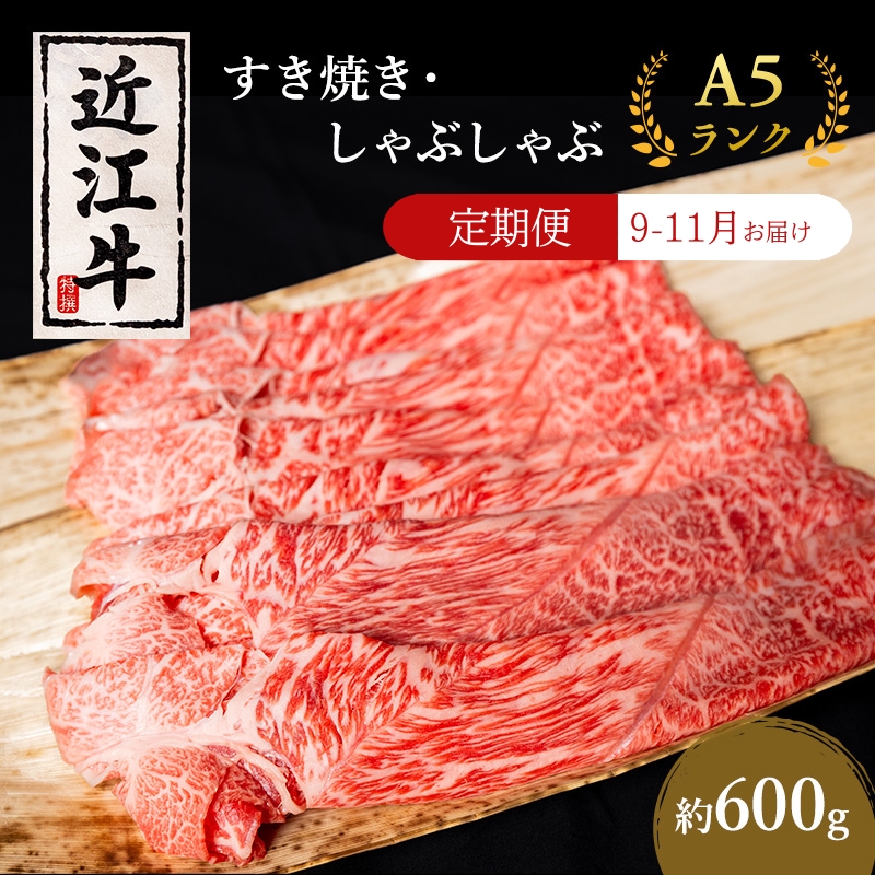 【肉の千石屋】【定期便:9～11月お届け】3ヶ月連続お届け近江牛A5ランクすき焼き しゃぶしゃぶ約600g 肉 近江牛 牛肉 すき焼き しゃぶしゃぶ モモ 肩ロース ロース 和牛 国産 滋賀県