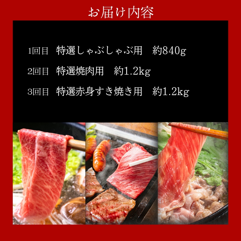 【近江牛　西川畜産】【3か月定期便】近江牛A5ランク雌牛　特選牛の定期便