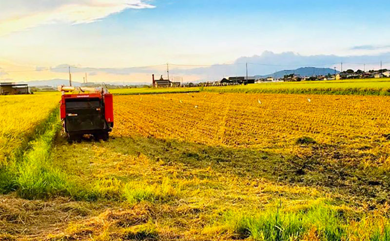【12月～1月までの限定寄附額】 【最短７営業日以内で発送】田中さんちのおいしいお米　きぬむすめ5kg（無洗米）　令和7年産 スピード配送 CP1201