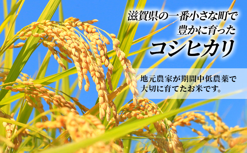 【12月～1月までの限定寄附額】 特A受賞歴 定期便 コシヒカリ 10kg×10ヶ月 令和7年産 滋賀県豊郷町産 近江米 お米 白米 ごはん ライス 主食 炭水化物 おにぎり CP1201