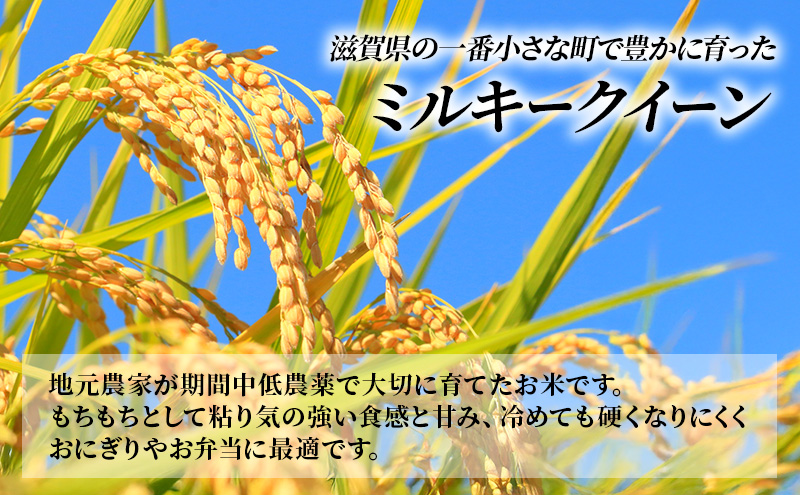 【12月～1月までの限定寄附額】 定期便 10kg×10ヶ月 ミルキークイーン 令和7年産 滋賀県豊郷町産 近江米 お米 白米 ごはん ライス 主食 炭水化物 おにぎり 米 CP1201