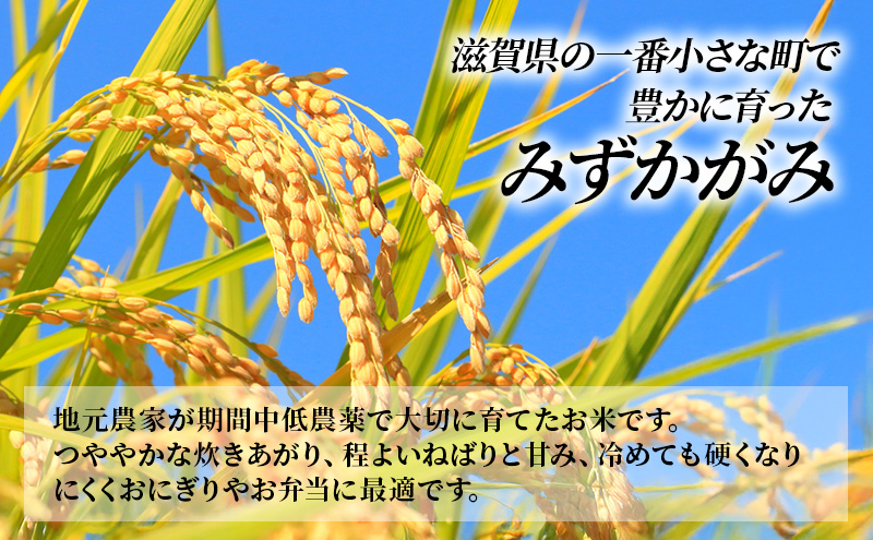 特A受賞歴 定期便 5kg×5ヶ月 みずかがみ 無洗米 令和7年産 近江米 米 こめ コメ滋賀 豊郷 定期 5回
