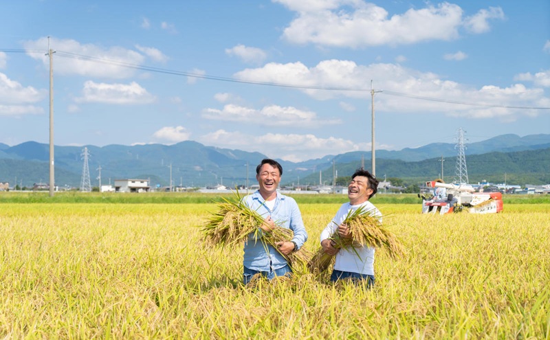 【寄附額見直しました】 特A受賞歴 定期便 5kg×5ヶ月 みずかがみ 無洗米 令和7年産 近江米 米 こめ コメ滋賀 豊郷 定期 5回