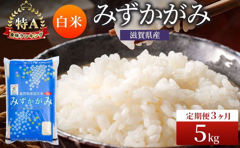 みずかがみ 白米 5kg 定期 3回　米 コメ お米 こめ 精米 ミズカガミ 滋賀県 豊郷町
