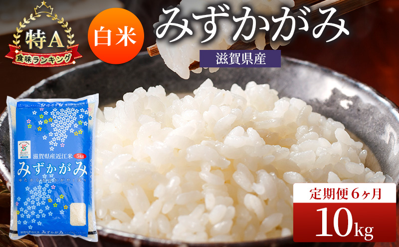 みずかがみ 白米 10kg 定期 6回　米 コメ お米 こめ 精米 ミズカガミ 滋賀県 豊郷町