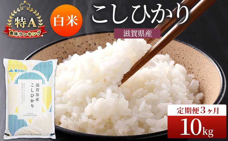 コシヒカリ 白米 10kg 定期 3回　米 コメ お米 こめ 精米 こしひかり 滋賀県 豊郷町