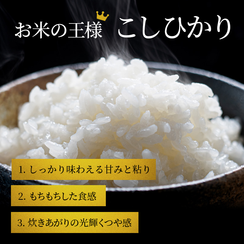 コシヒカリ 白米 5kg　米 コメ お米 こめ 精米 こしひかり 滋賀県 豊郷町