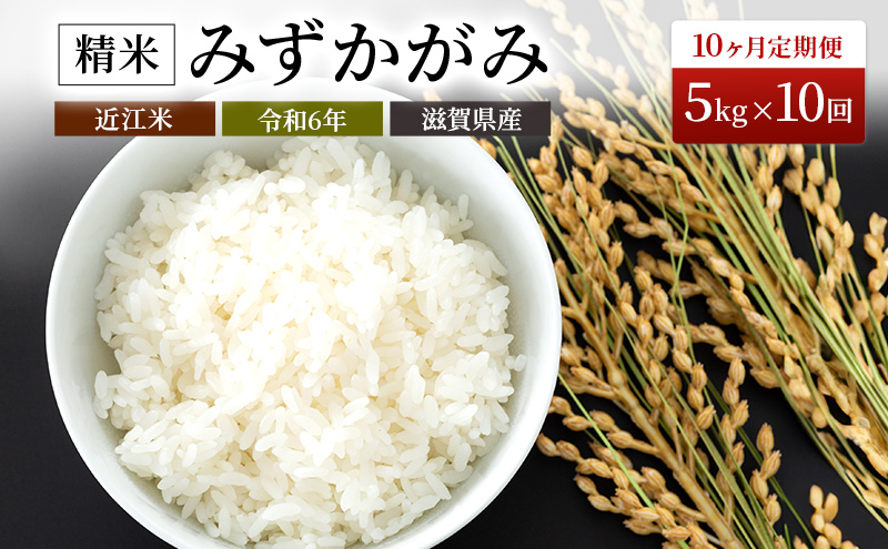 【新米】【定期便】令和6年産　豊かな郷の近江米みずかがみ 5kg×10ヶ月連続