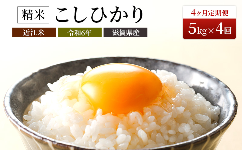 【新米】【定期便】令和6年産　豊かな郷の近江米（コシヒカリ）5kg×4ヶ月連続