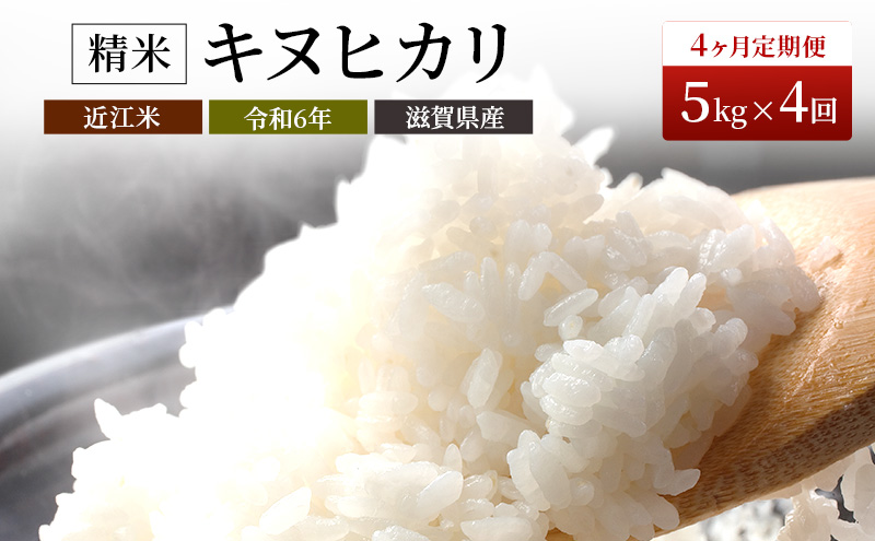 【新米】【定期便】令和6年産　豊かな郷の近江米（キヌヒカリ）5kg×4ヶ月連続