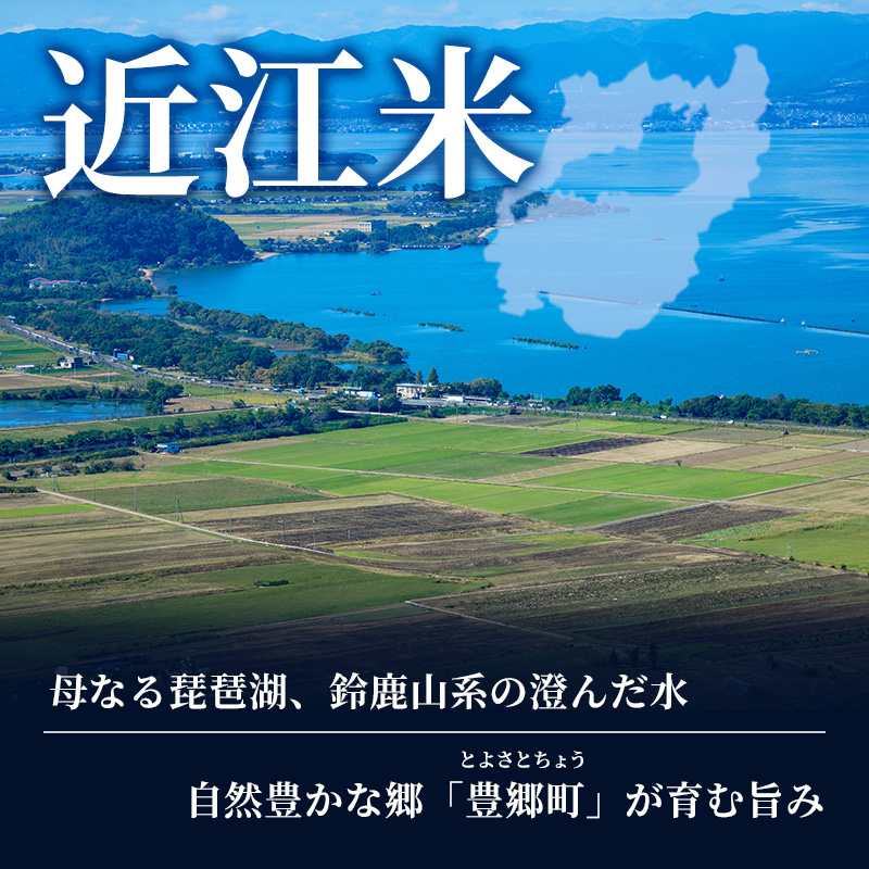 【新米】【定期便】令和6年産　豊かな郷の近江米2種セット×10ヶ月連続