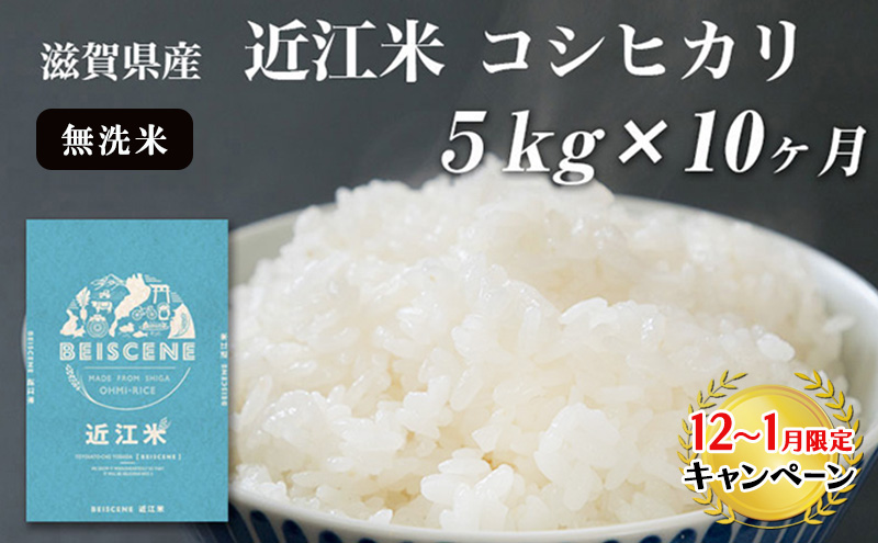 【12月～1月までの限定寄附額】 定期便 5kg 10ヶ月 コシヒカリ 無洗米 令和7年産 近江米