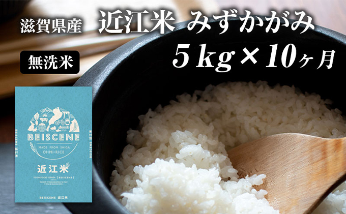 滋賀県豊郷町産　近江米 みずかがみ　無洗米　5kg×10ヶ月
