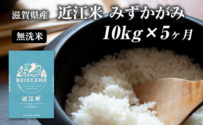 滋賀県豊郷町産　近江米 みずかがみ　無洗米　10kg×5ヶ月