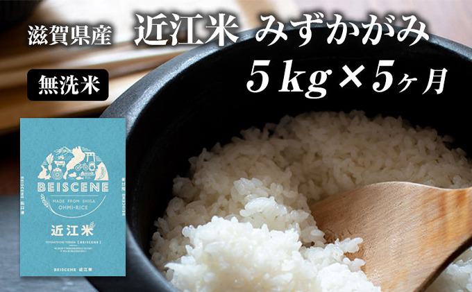 特A受賞歴 定期便 5kg×5ヶ月 みずかがみ 無洗米 令和7年産 近江米 米 こめ コメ滋賀 豊郷 定期 5回