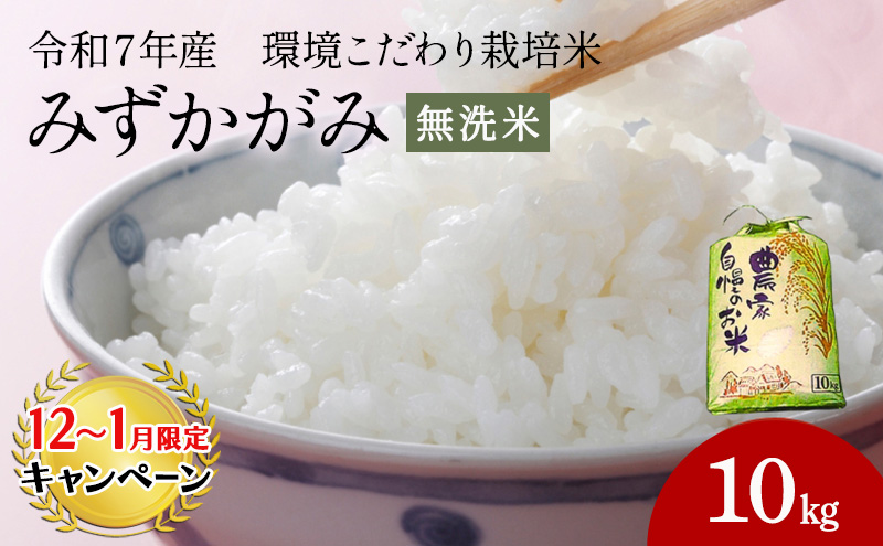 【12月～1月までの限定寄附額】 令和7年産みずかがみ　無洗米（環境こだわり栽培米）10kg お米  CP1201