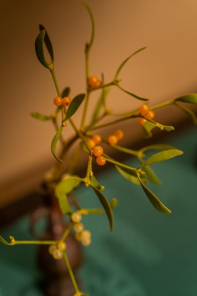 ãéŠé äžåå€§ææµãéŠéã®ãæåäœéšïŒ120åïŒ