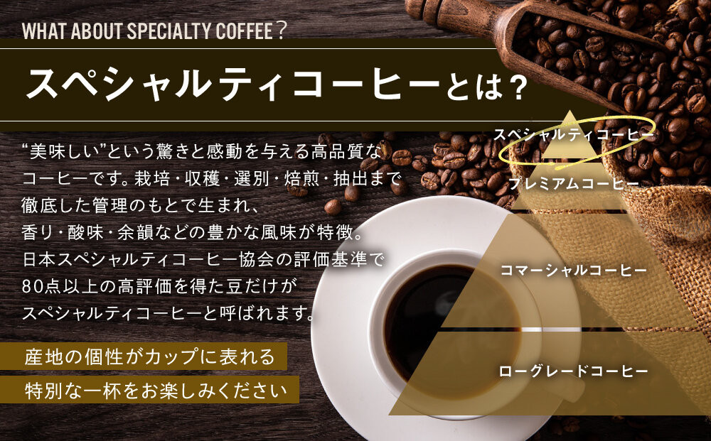 【AMANO COFFEE ROASTERS】スペシャリティコーヒー 上賀茂ブレンド100g 今宮ブレンド100g＜粉タイプ＞｜京都 コーヒー 人気ブランド［ 京都 アマノコーヒー スペシャルティコーヒー豆専門店 ブレンドコーヒー 人気 おすすめ ギフト お取り寄せ 通販 送料無料 ふるさと納税 ]