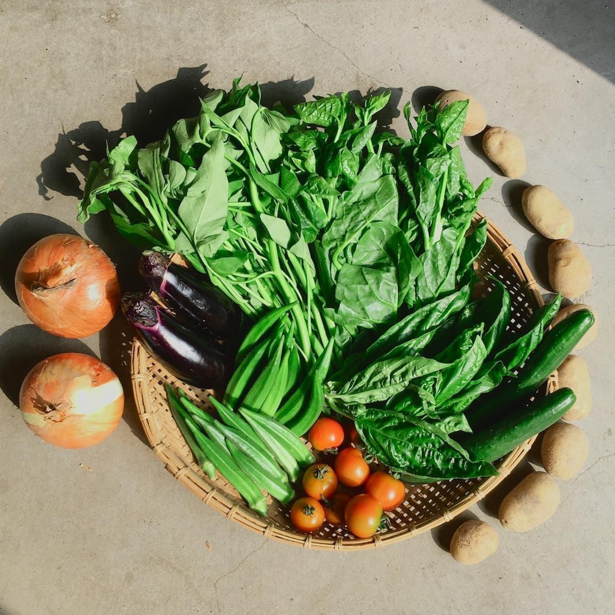 ◆全6回定期便◆【つくだ農園】《有機JAS認証 有機野菜10品入り》京都の棚田大原で心を込めて大切に露地栽培された大地の恵みたっぷりの有機野菜!［ 京都 有機野菜 定期便 セット 人気 おすすめ 有機栽培 おまかせ 詰め合わせ 産地直送 新鮮 ミシュラン お取り寄せ 通販 送料無料 ふるさと納税 ］