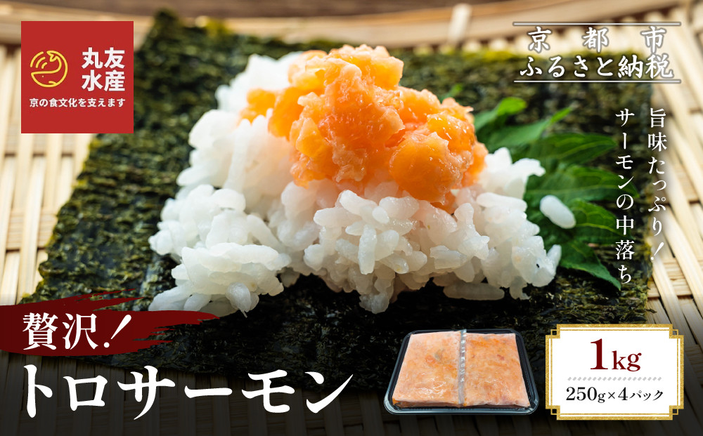 【丸友水産】トロサーモン 250g×4パック 計1kg｜京都 トロサーモン ノルウェー産［ 京都 ノルウェーサーモンの中落ち 丸友水産 京都中央卸売市場 ノルウェー産サーモン トロサーモン 人気 おすすめ おいしい お取り寄せ 通販 送料無料 ふるさと納税 ］