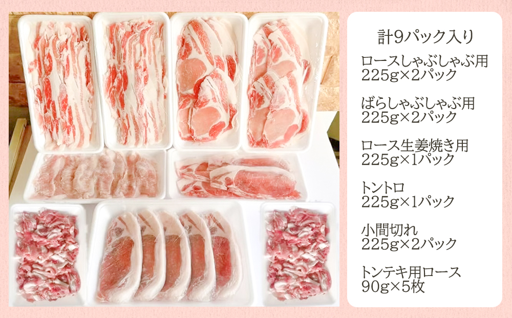 【京都特産ぽーく】旨さ詰まった京都ぽーく精肉セット［ 京都 ポーク 人気 おすすめ 肉 お肉 豚肉 ロースしゃぶ ばらしゃぶ ももしゃぶ 生姜焼き トントロ 小間切れ トンテキ 詰め合わせ セット お取り寄せ ギフト 通販 送料無料 ふるさと納税 ］