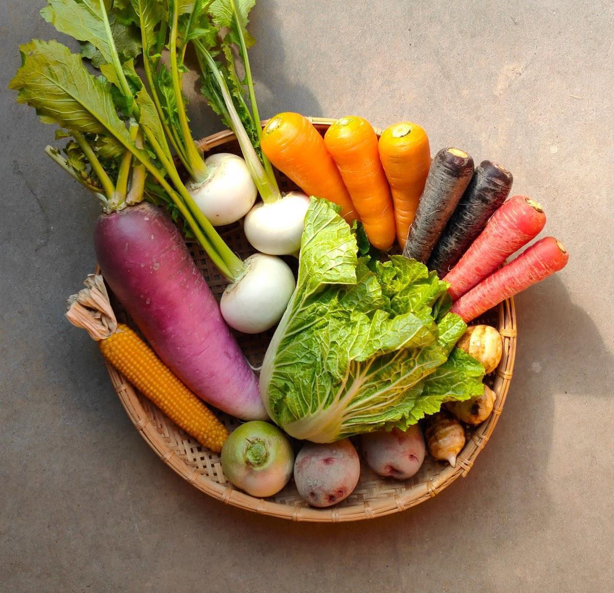 ◆全6回定期便◆【つくだ農園】《有機JAS認証 有機野菜10品入り》京都の棚田大原で心を込めて大切に露地栽培された大地の恵みたっぷりの有機野菜!［ 京都 有機野菜 定期便 セット 人気 おすすめ 有機栽培 おまかせ 詰め合わせ 産地直送 新鮮 ミシュラン お取り寄せ 通販 送料無料 ふるさと納税 ］