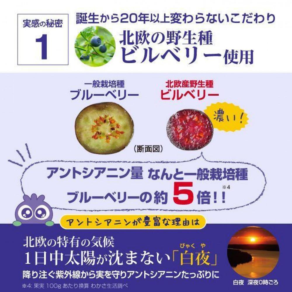 【わかさ生活】ブルーベリーアイ6袋セット(半年分)｜健康 サプリメント ブルーベリー［ 京都 健康 オールインワンサプリメント ブルーベリーアイ ひとみの健康 人気 おすすめ 健康食品 お取り寄せ 通販 ふるさと納税 ］