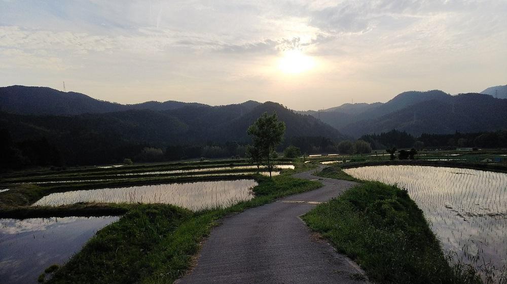 【吉田農園】京都越畑産サペラヴィ赤ワイン