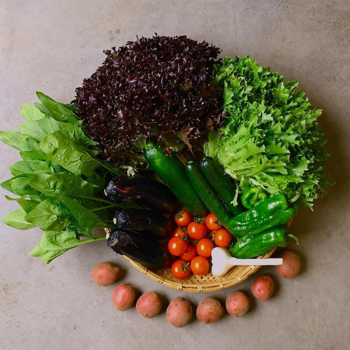 ◆全6回定期便◆【つくだ農園】《有機JAS認証 有機野菜10品入り》京都の棚田大原で心を込めて大切に露地栽培された大地の恵みたっぷりの有機野菜!［ 京都 有機野菜 定期便 セット 人気 おすすめ 有機栽培 おまかせ 詰め合わせ 産地直送 新鮮 ミシュラン お取り寄せ 通販 送料無料 ふるさと納税 ］