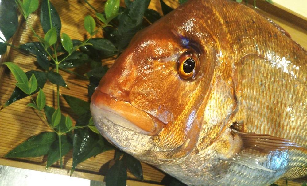 【日月房 旦】汐鯛めしキット 三合(３～４名用)