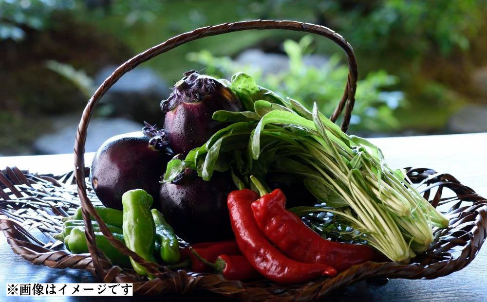 ãäžéŽšè¶å¯®æ¬åºãå©çšåž30,000ååïœäº¬éœ èèæäº 人æ°åºïŒ» äº¬éœ èè æäº ã©ã³ãã»ãã£ããŒå
±é å²åŒåž äººæ° ãããã ã°ã«ã¡ 京æç 京æç³ éæç¡æ ãµãããšçŽçš 