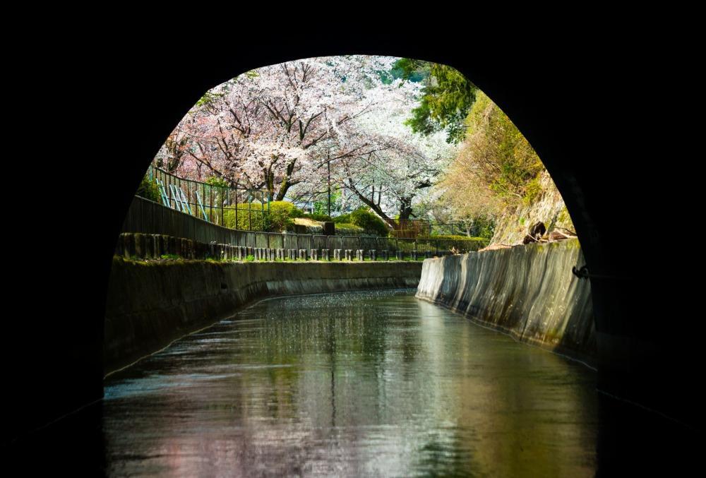 縲舌ウ繧乗ケ也柾豌エ闊ケシ壹ウ繧乗ケ門、ァ豢・貂ッ萓ソ縲第丼繧キ繝シ繧コ繝ウ蜈郁。御コ育エ讓ゥシ茨シ大錐讒伜縺ョ蜈郁。御コ育エ縺ョ讓ゥ蛻ゥ縺ィ荵苓飴蠑墓鋤蛻クシ