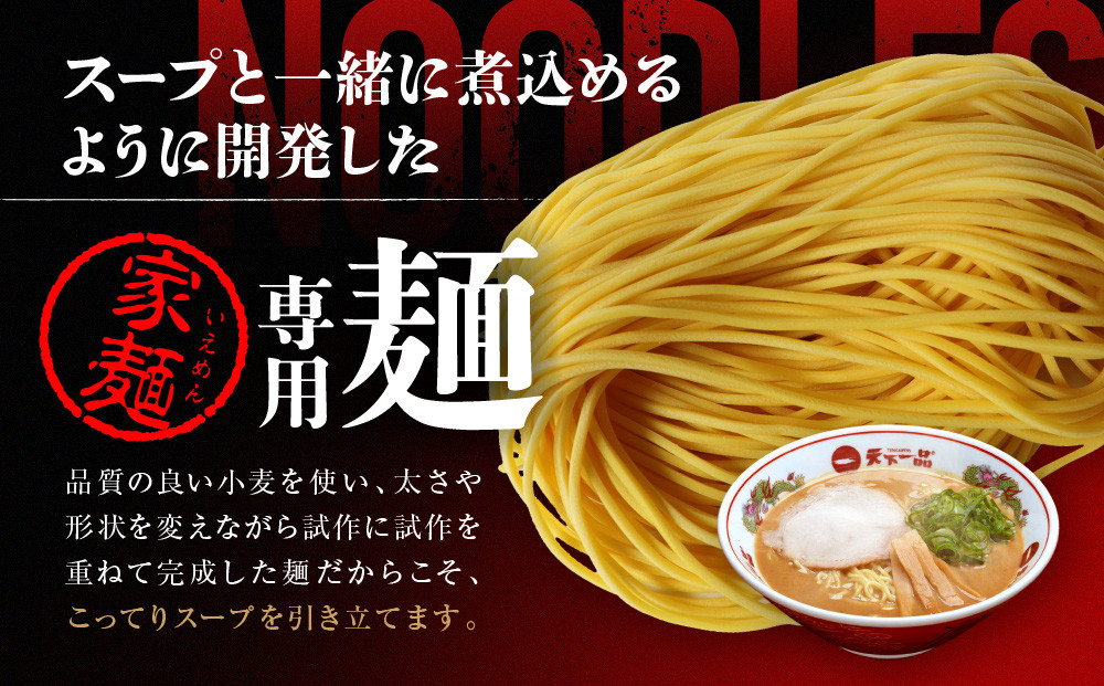 【天下一品】家麺 こってり2食セット＜鉢2枚付き＞（B-JB38）（ラーメン/拉麺/天一）［ 京都 ラーメン 有名店 こってり 天下一品自慢の スープ おいしい 人気 おすすめ 簡単 便利 あっさり セット お取り寄せ 通販 送料無料 ふるさと納税 ］