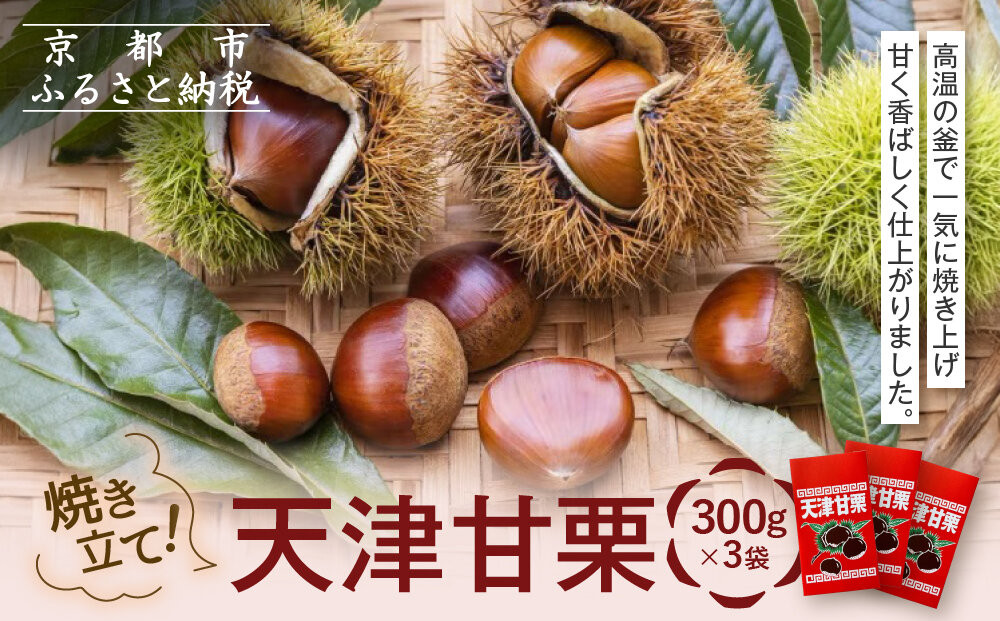 焼き立て! 天津甘栗300g×3袋｜京都 甘栗 人気［ 天津甘栗 自然な甘さ 自然食品 国内製造 おいしい グルメ 人気 おすすめ ギフト プレゼント 贈答 お取り寄せ 通販 送料無料 ふるさと納税 ］