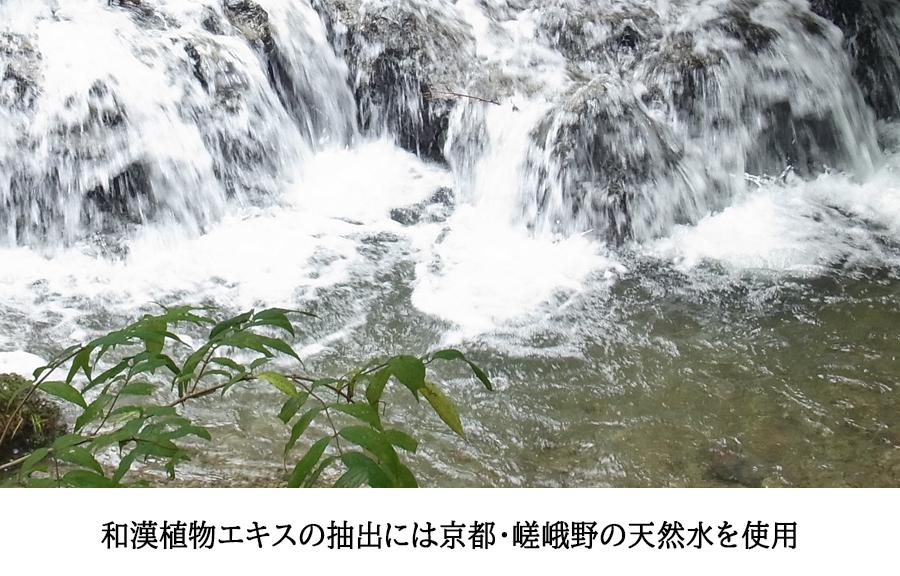 【京都二条 京乃雪】京乃雪リカバリィジェルクリーム 60g［ 京都 化粧品 コスメ 美容 肌ケア スキンケア 人気 おすすめ 高価 通販 ］ 