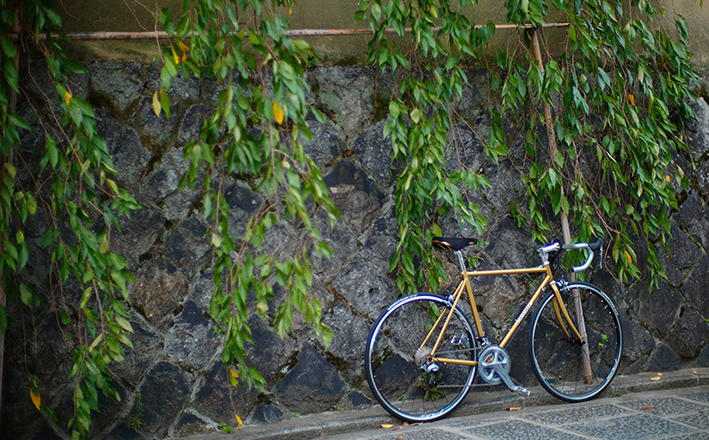 【高島屋選定品】＜VIGORE JOURNEY＞ビゴーレ自転車レンタルチケット1日分［ 京都 ロードバイク 自転車 ブランド 人気 おすすめ スポーツ アウトドア ツーリング ブランド メーカー 取り寄せ 通販 ふるさと納税 ］