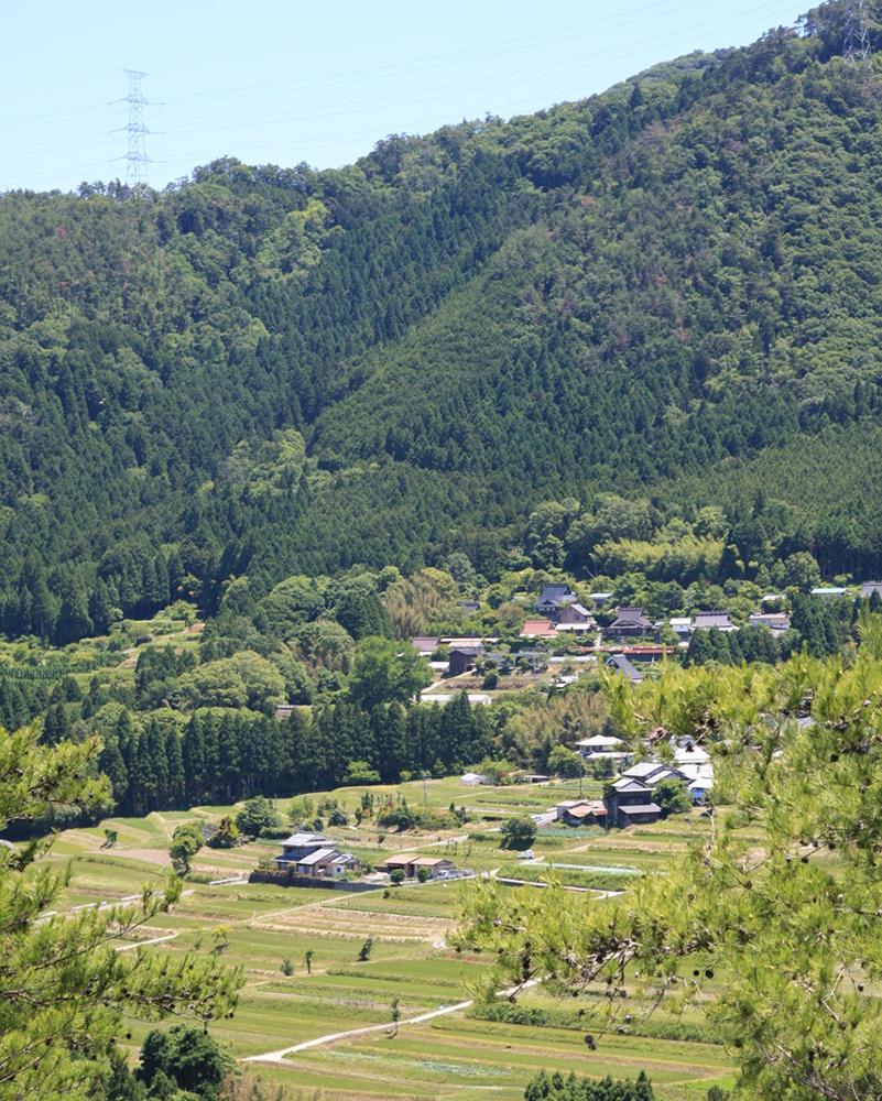 【越畑フレンドパーク　まつばら】越畑の棚田米・5kg